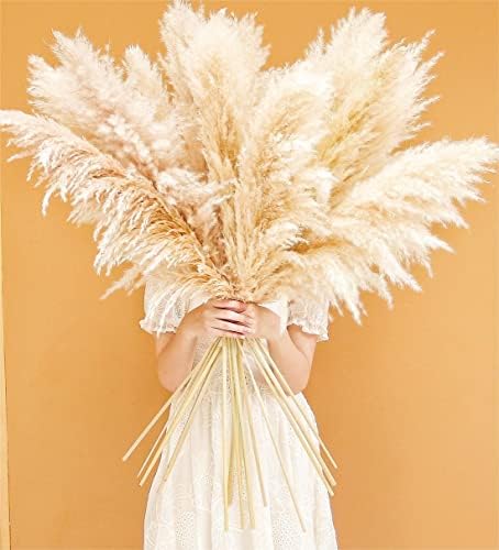 Tall Pampas Grass / Natural / Set of 10