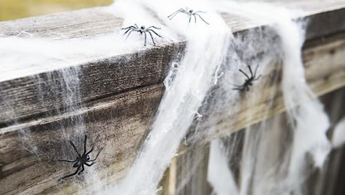 Halloween Spider Web Decoration, 800 Sqare Feet & Plastic Spiders, Halloween Party Supplies, Spider Webs (Large, 800 Sq Feet)