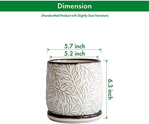 D'vine Dev Embossed Leaves Ceramic Planter, 6 in, Smoked White, 27-A-X-1