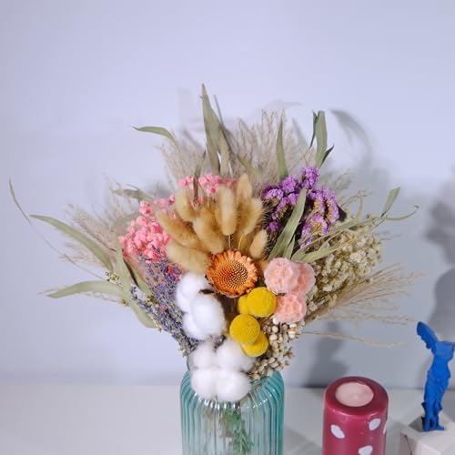 12 Kinds Natural Dried Flower Set, Bulk Dried Flowers for Vase,Mini Dried Flower Bouquets,Dried Flowers with Stems for DIY Crafts, Vase Decor,Home/Wedding/Birthday Decor(8.7-13.8in Flexible Stems)
