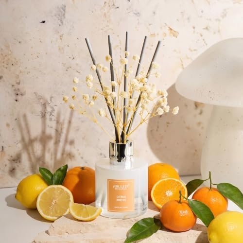 Airkeep Reed Diffuser Set,3.38 fl oz (100 ml) - Citrus Breeze Oil Diffusers with 8 Reed Sticks, Home Fragrance Reed