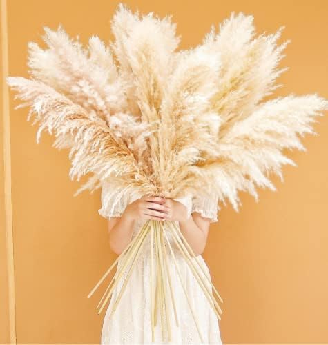 Tall Pampas Grass / Natural / Set of 20