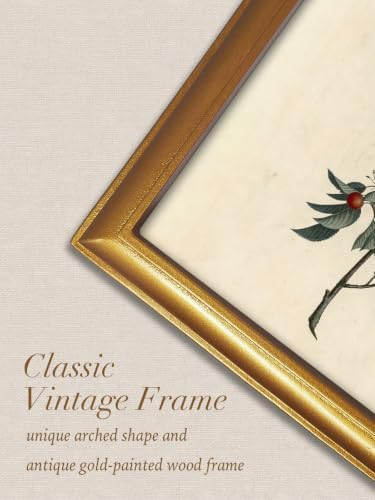 TwoDays Vintage Christmas Berries 11" x 13.8" Gold Arched Framed Wall Art