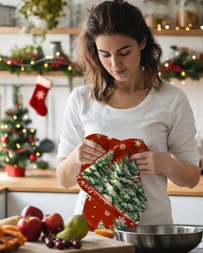 Miss Adola Christmas Microfiber Kitchen Towels Set of 2, Snowman