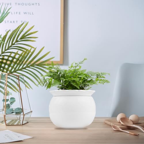 BUYMAX 6 Inch Self Watering Ceramic African Violet Pot Flower Pot Indoor