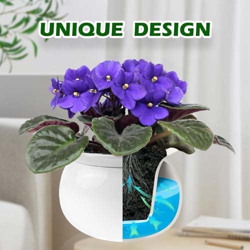 BUYMAX 6 Inch Self Watering Ceramic African Violet Pot Flower Pot Indoor