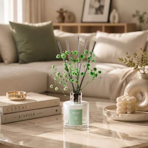 Airkeep Reed Diffuser Set,3.38 fl oz (100 ml) - Fresh Pine Oil Diffusers with 8 Reed Sticks, Home Fragrance Reed