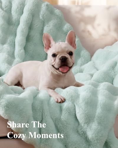 Ultra Soft Cozy Faux Fur Throw Blanket, Fuzzy Plush Thick Bubble Blanket, Oversize Luxury Fluffy Blanket for Couch