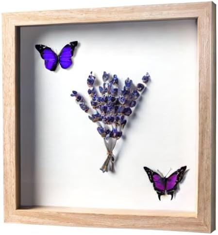 FrameWorks 11” x 11” Natural Oak Wooden Shadow Box Frame – Display Case with Soft Felt Back, Memory Box with Tempered