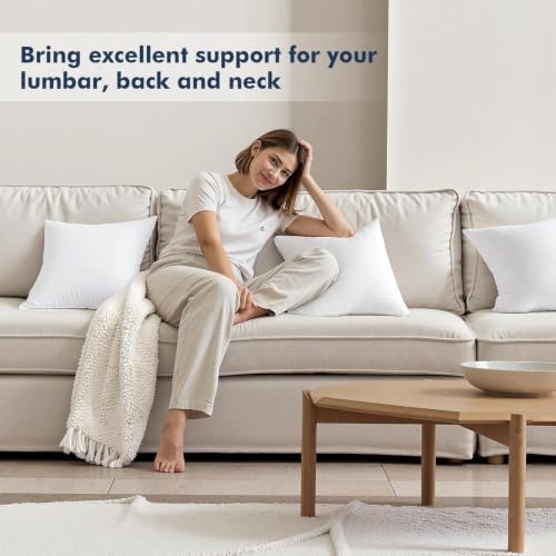 MIULEE 16x16 Throw Pillows Inserts 2 Pack, Decorative Pillows for Couch Bed