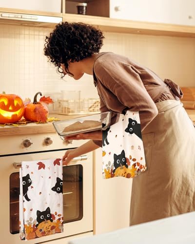 Miss Adola Fall Flour Sack Kitchen Towels Set of 2, Pumpkin Cats