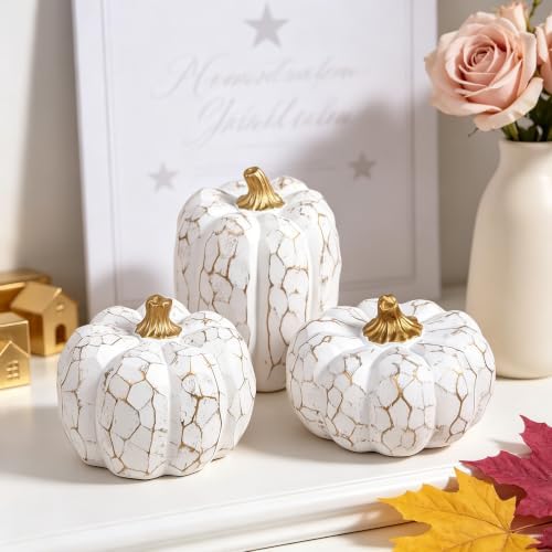 winemana Set of 3 White Pumpkins Fall Decorations for Home