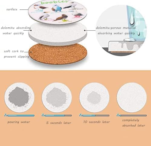 Holder And Cork Base / Set of 6