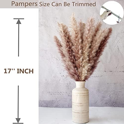 Bunny Tails Dried Flowers / Pampas Grass / Brown / Set of 110