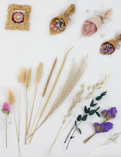 DIY Dried Flower Set, Dried Flowers for Vases, Bulk Dried Flowers, Bouquet Arrangements, Daisies. (Pink)