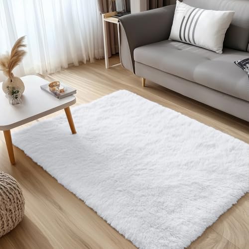 OLANLY 2x3 Machine Washable Small Bedside Rug, Soft Fluffy Shaggy Entryway Throw Rugs for Bedroom, Living Room, Indoor