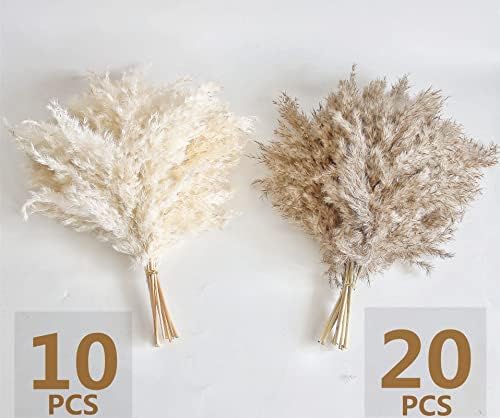 Short Pampass Bulk for Boho Room / Natural / Set of 30