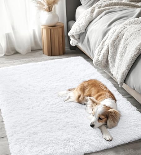 OLANLY 2x3 Machine Washable Small Bedside Rug, Soft Fluffy Shaggy Entryway Throw Rugs for Bedroom, Living Room, Indoor