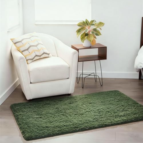 Ophanie Gray Green Grass Area Rugs for Bedroom, 3x5 Shag Fluffy Carpet, Fuzzy Furry Plush Soft Cute Kids Baby Shaggy