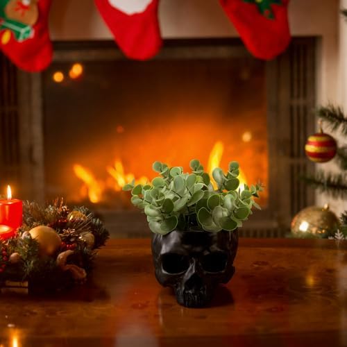 2 Pack Halloween Hanging Skull Planter with Rope