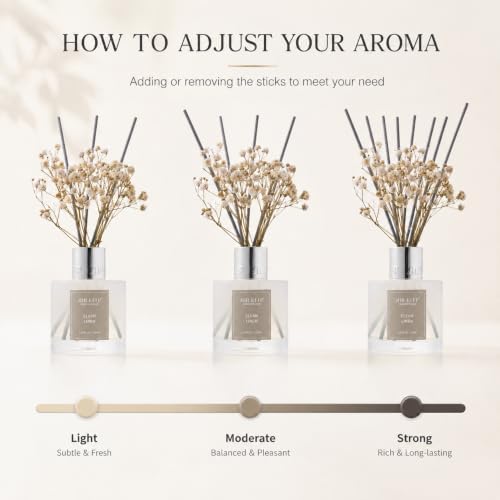 Airkeep Reed Diffuser Set,3.38 fl oz (100 ml) - Sandalwood Rose Oil Diffusers with 8 Reed Sticks,Home Fragrance Reed