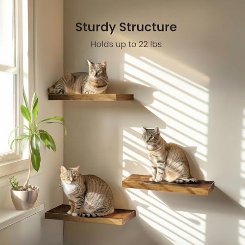 Amada 15.7" Floating Shelves for Wall Decor & Storage, Set of 3, Brown