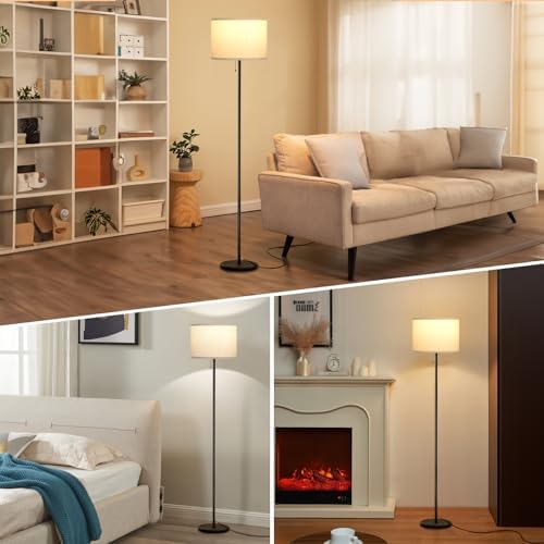 Ambimall Modern Standing Floor Lamp for Living Room & Bedroom with 3 Color Temperatures Bulb & Pull Chain Switch, 60"