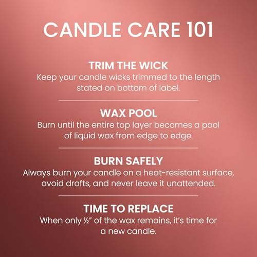 Yankee Candle Sugared Cinnamon Apple, Scented Candle, 22oz Large Jar with up to 150 Hour Burn Time, Giftable (Pack of 4)