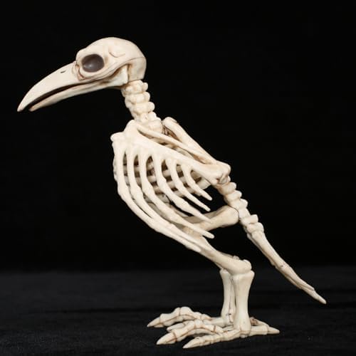 Seasons 7.8" Skeleton Raven Halloween Decoration
