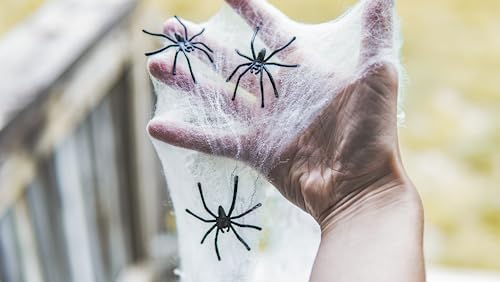 Halloween Spider Web Decoration, 1500 Sqare Feet & Plastic Spiders, Halloween Party Supplies, Spider Webs (Extra Large, 1500 Sq Feet)