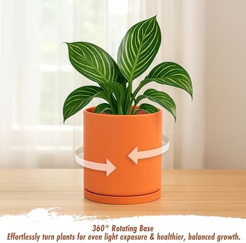 D'vine Dev Double-Layer Self-Draining Planter Set – Rotating Plastic Outer Pot with Clear Inner Liner for Root Health, Perfect for Indoor Plants, 6.5", Set of 2, Pumpkin, 73-V-E-2