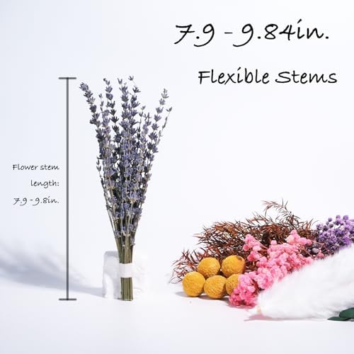 10 Kinds Natural Dried Flower Set, Bulk Dried Flowers for Vase,Mini Dried Flower Bouquets,Dried Flowers with Stems for DIY Crafts, Vase Decor,Home/Wedding/Birthday Decor(7.9-9.84in Flexible Stems)