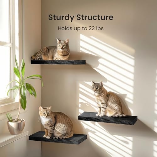Amada 15.7" Floating Shelves for Wall Decor & Storage, Set of 3, Black
