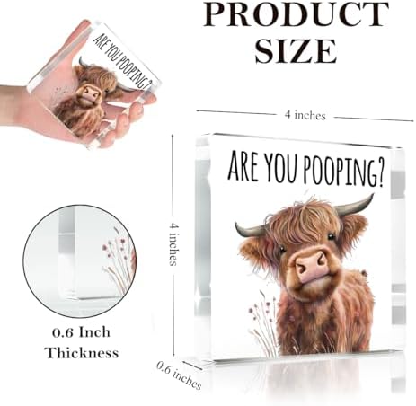 Highland Cow Bathroom Decor Gifts,Are You Pooping Funny Acrylic Sign Bathroom Decor for Western & Highland Cow Lovers Gifts for Coworker, Friends, Boss, Men, Women 4x4 Inch