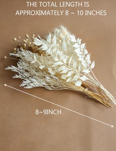 Dried Flower MEGA Box, Craft Pack, Mini Preserved Flower, Dry Flowers Epoxy Resin, Jewelry Craft, DIY Material, Candle Making (White)