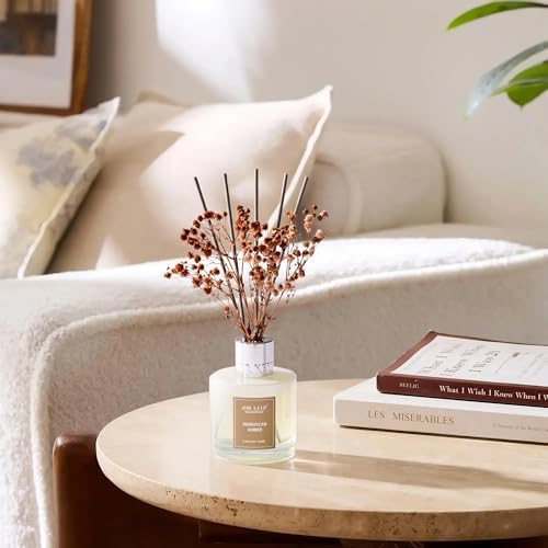 Airkeep Reed Diffuser Set,3.38 fl oz (100 ml) - Moroccan Amber Oil Diffusers with 8 Reed Sticks, Home Fragrance Reed