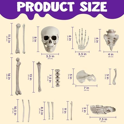 JOYIN 28 PCS Halloween Decorations Skeleton Bones and Skull Kit, Indoor Outdoor Decorations Plastic Bones Scary for Spooky Graveyard Haunted House Lawn Yard Party Decor