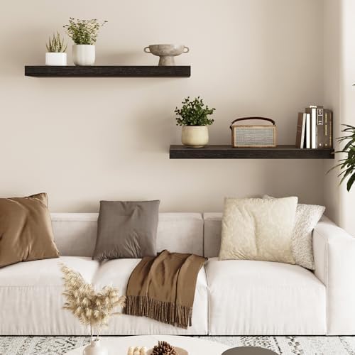 Fixwal Floating Wall Shelves for Decor (Black, Set of 2, 22Inch)