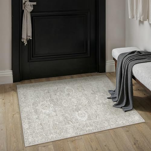 2x3 Grey Neutral Area Rug