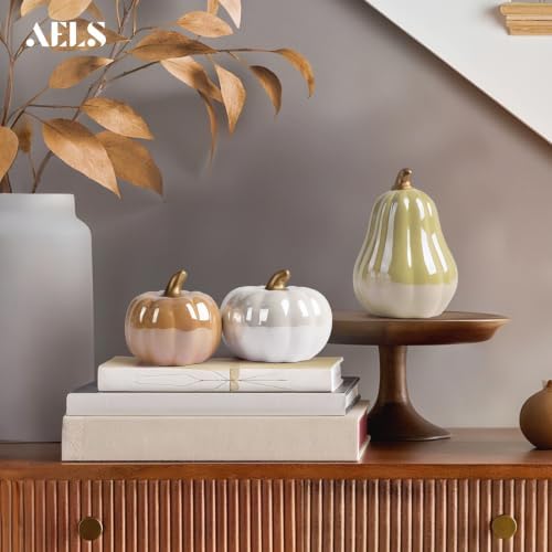 AELS Modern Ceramic Pumpkins Fall Decor Indoor, Cozy Farmhouse Tabletop Decorations, Artificial Pumpkins Decor for Fall Table Runner, Office, Holiday Party Home, Set of 3 Neutral Tones