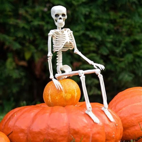 Halloween Decoration Outdoor 5 Pack Skeleton, 16" Plastic Posable Skeleton with Movable Joints, Small Hanging Skeletons for Halloween Decor, Haunted House Graveyard Props