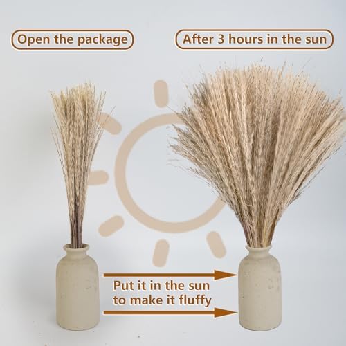 Dried Flower Bouquets / Set of 610