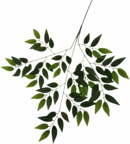 12pcs Artificial Oak Tree Branch Faux Eiche Leaf Stem Three Forks per piece for Greenery Wall Floral Decoration (12pcs Olive Leaf)