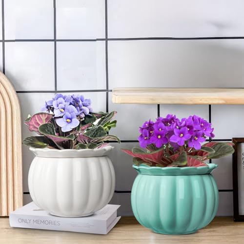 BUYMAX 6 Inch Self Watering Ceramic African Violet Pot Indoor Plant Pot