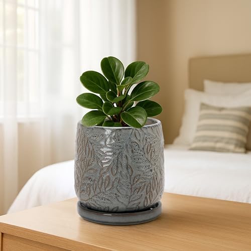 D'vine Dev Embossed Leaves Ceramic Planter, 4 in, Graphite Blue, 27-A-Z-9
