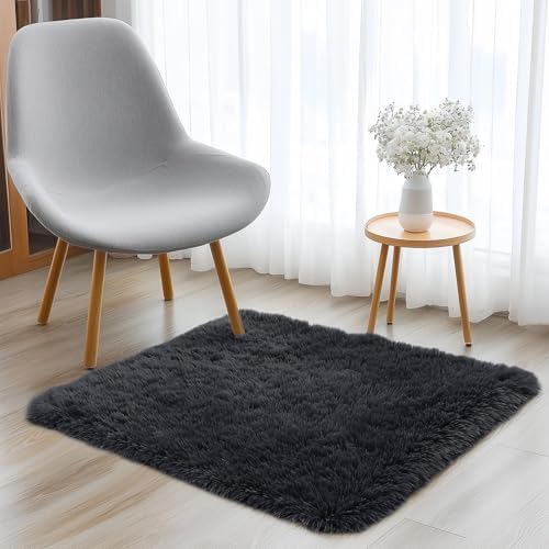 OLANLY 2x2 Machine Washable Small Rug, Soft Fluffy Shaggy Throw Rug for Bedroom, Entryway, Indoor Floor Carpet for