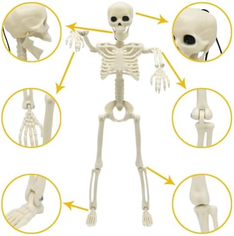 CAMIRUS 5PACK Halloween Skeleton Decorations, 16" Full Body Mini Skeletons
