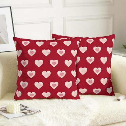 Valentine Day Outdoor Throw Pillow Covers 20x20 Set of 2 Red Pink Heart Pillows Cases Valentines Decorative Cushion Covers for Bed Couch Sofa Living Room