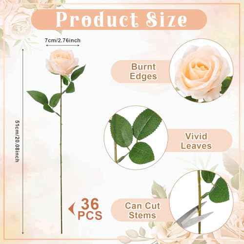 36 Pcs Champagne Artificial Roses with Long Stems