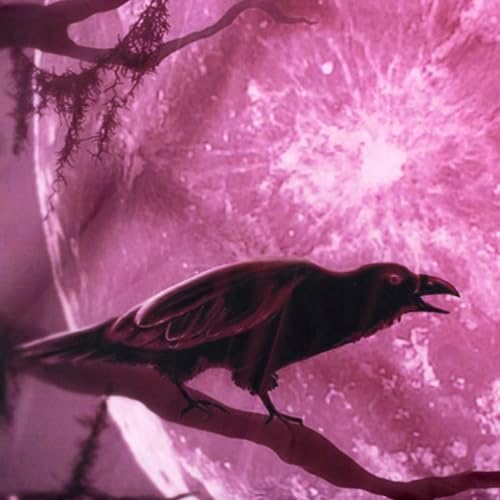 LB Halloween Full Moon Tapestry, Horror Black Crow and Bat on Purple Night Sky Wall Tapestry for Bedroom, Creppy Bat Wall Hanging Tapestry Wall Art for Living Room Home Decor, 92.5 x 70.9 Inches